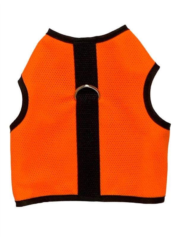 Safety Orange